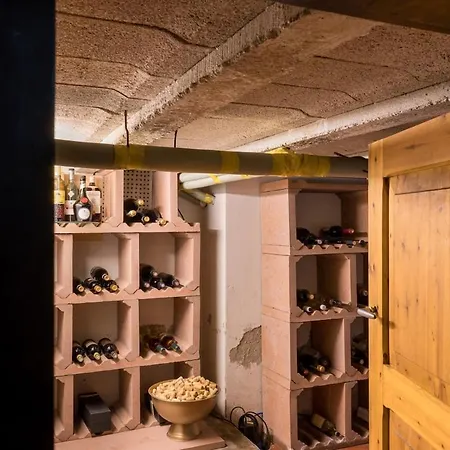 Private With Jacuzzi, Sauna & Swimmingpool 빌라 Delwijnen