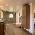 Private With Jacuzzi, Sauna & Swimmingpool *