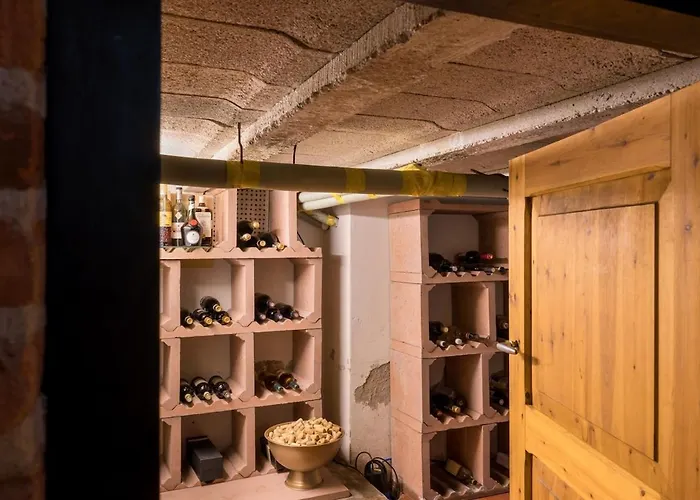 Private With Jacuzzi, Sauna & Swimmingpool Willa Delwijnen